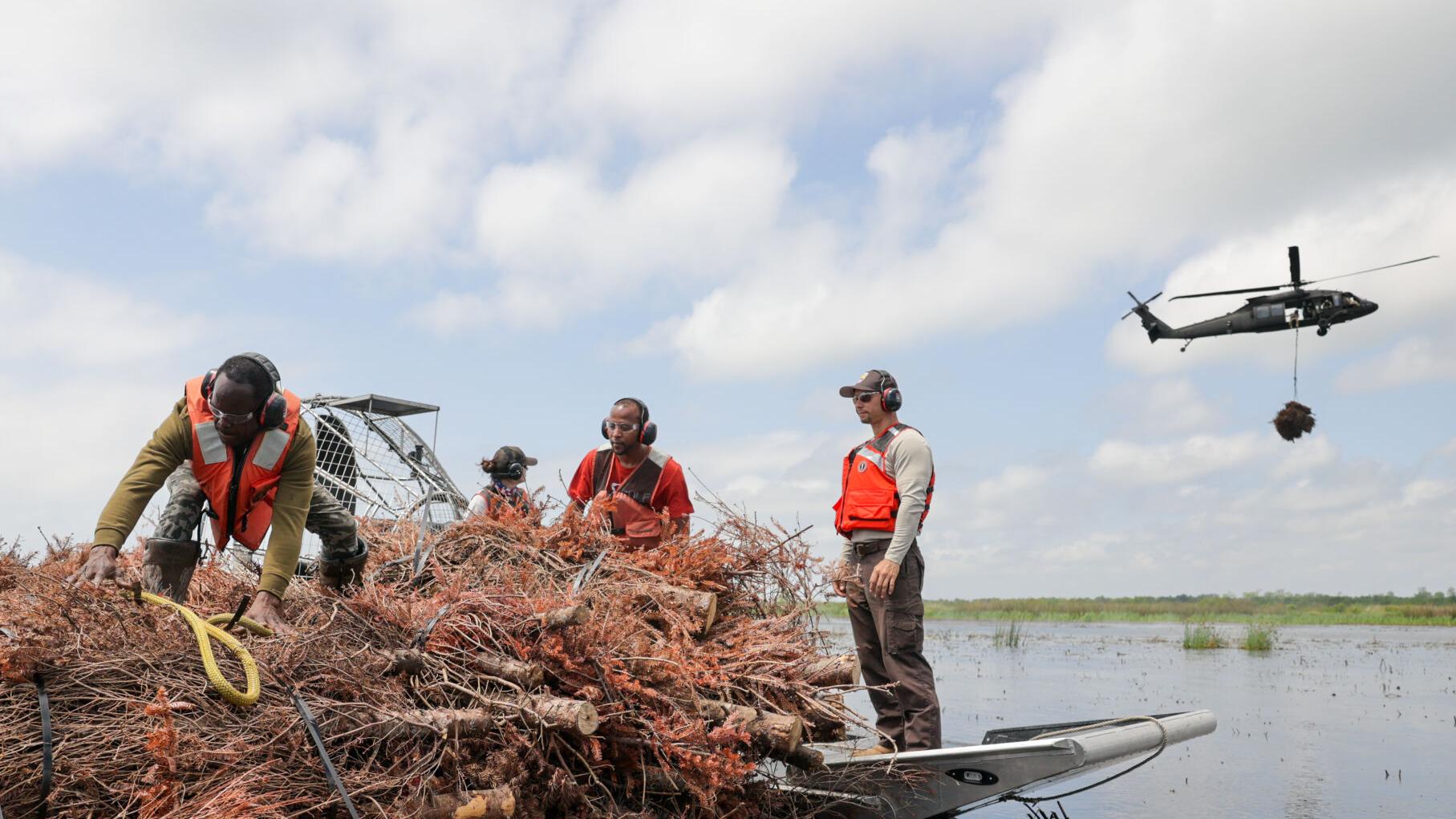 Here's how to recycle your Christmas tree in the New Orleans metro area